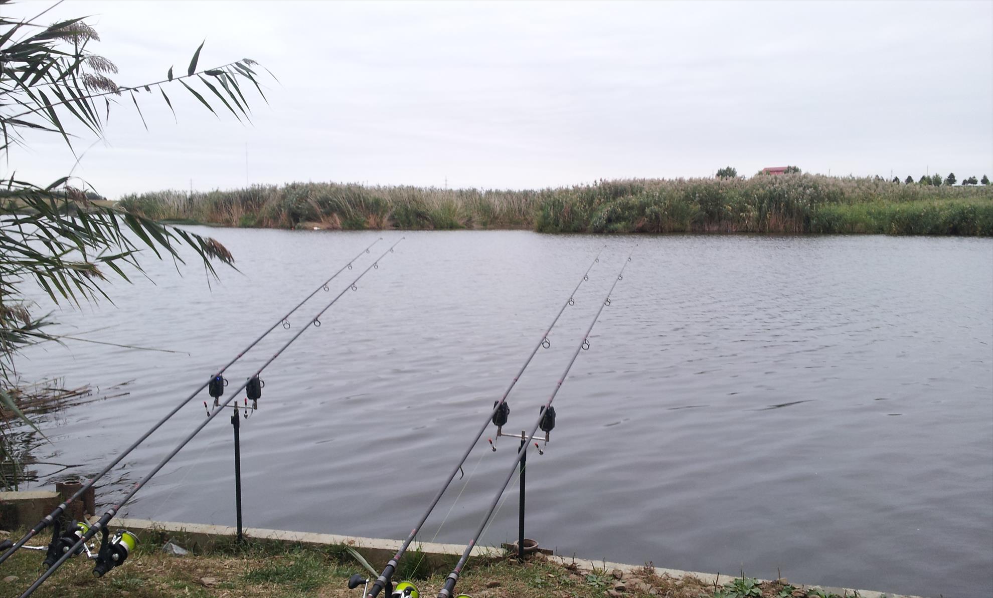 PILHAN - 20130928074228.jpg